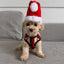 Dog wear